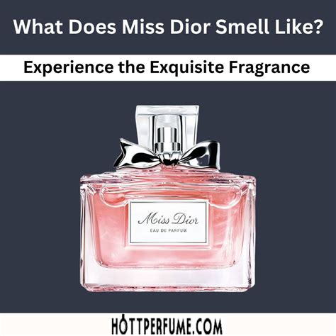 is miss dior a winter perfume|what does miss dior smell like.